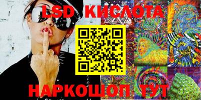 дмт Краснодар