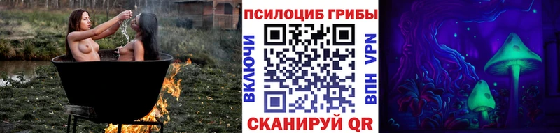 где купить наркотик  KRAKEN как зайти  Псилоцибиновые грибы Psilocybe  Казань 