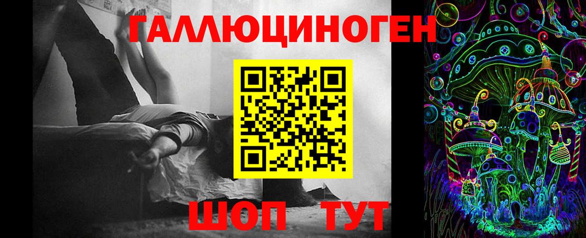 Галлюциногенные грибы Psilocybine cubensis  Вход с VPN  Казань 
